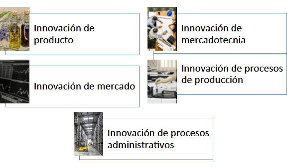 Tipos de innovación empresarial
